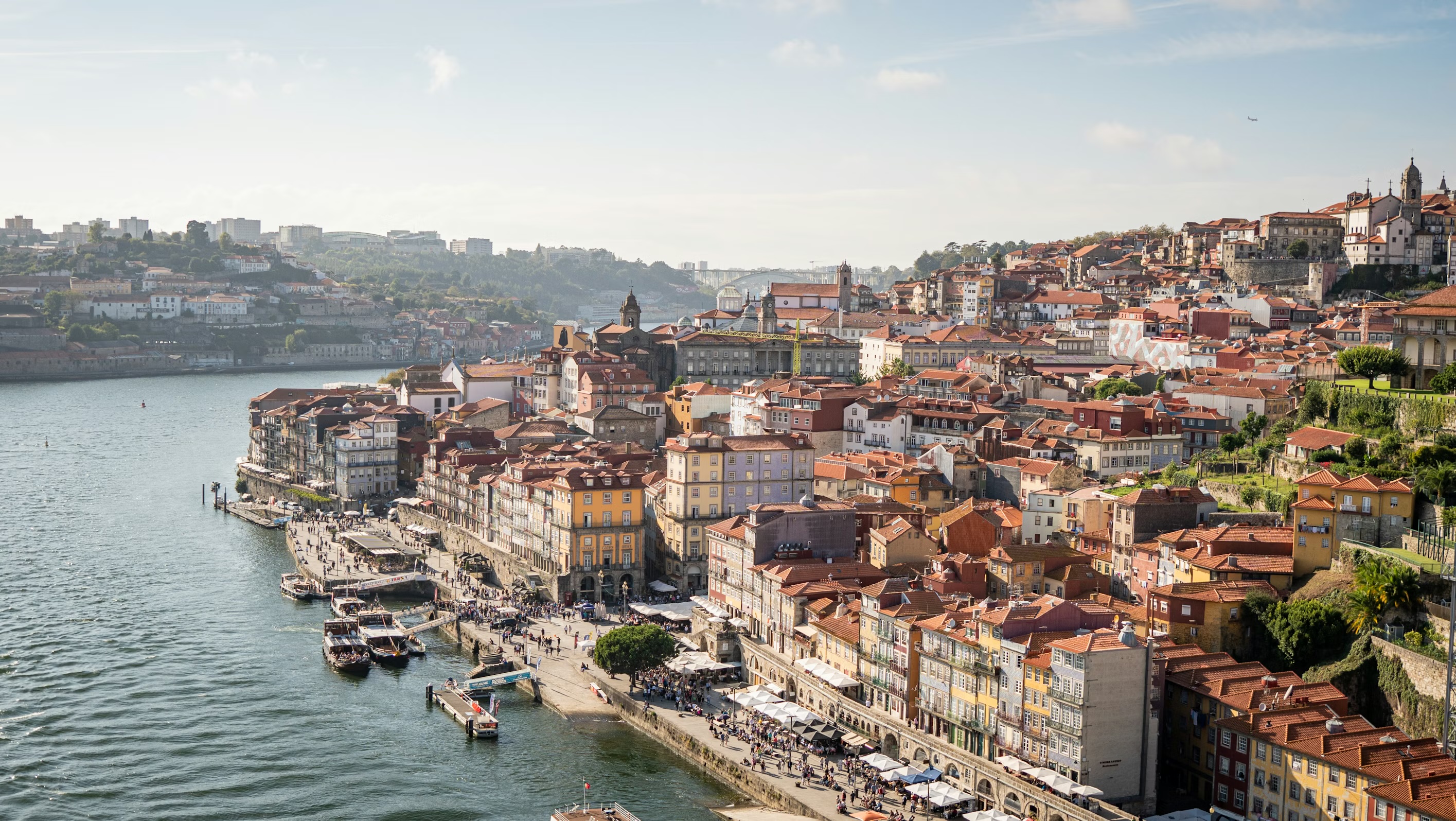 Terraced vineyards in Portugal's Douro Valley above a winding river